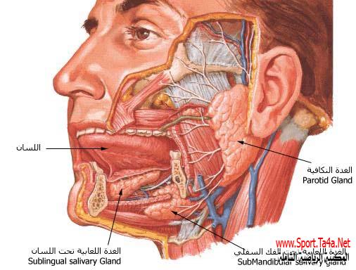 حالة بلع اللسان وكيفية اسعافها