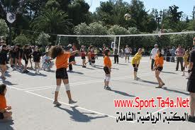 كرة الطائرة المصغرة