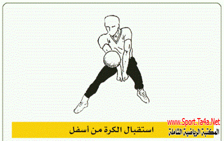 مهارة الاستقبال فى كرة الطائرة