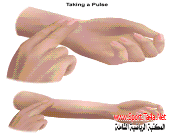أماكن قياس النبض عند الرياضيين