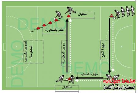 بطارية اختبار هوكى