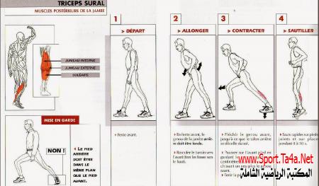 Étirements activo-dynamique TRICEPS-SURAL