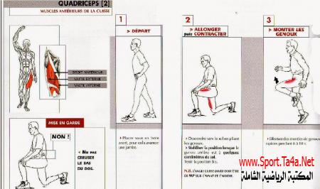 Étirements activo-dynamique QUADRICEPS