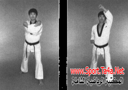 استخدام اليد والذراع لصد الركلات