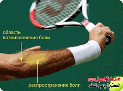 الوصف التشريحي للمفاصل العاملة للاعبي الريشة الطائرة