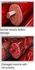 نظريات الإعياء الرياضى