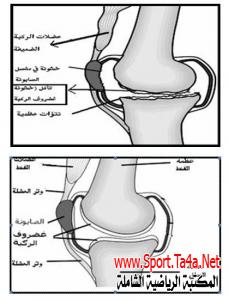 ارشادات لمرضى خشونة الركبة