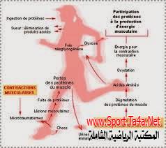 بعض القوانين الميكانيكا المفسرة لحركة الجسم