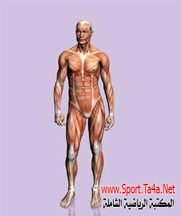 علم وظائف الاعضاء - علم الفسلجة - الفسيولوجى