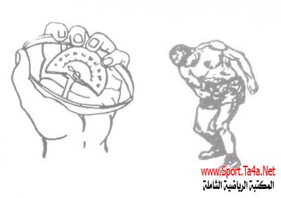 اختبار قوة القبضة