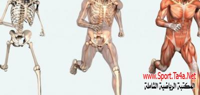 مدخل عام لعلم الحركة