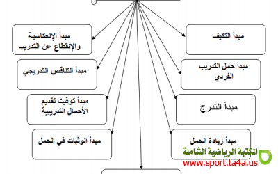 كيفية تقنين حمل التدريب