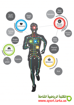 الخصائص الفسيولوجية للجسم خلال مراحل التدريب المختلفة