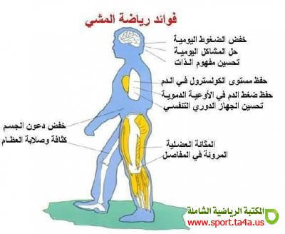 المشي 20 دقيقة ثلاث مرات أسبوعيا