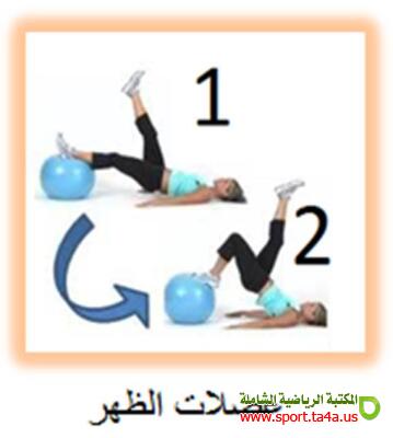 مجموعة تمرينات بالكرة السويدية