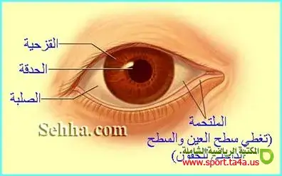 القزحية والحدقة