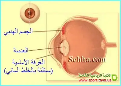 الغرفة الأمامية