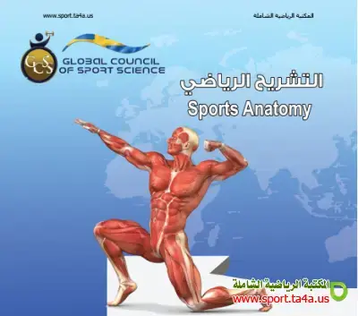 كتاب التشريح الرياضي — دكتور علي فالح سلمان