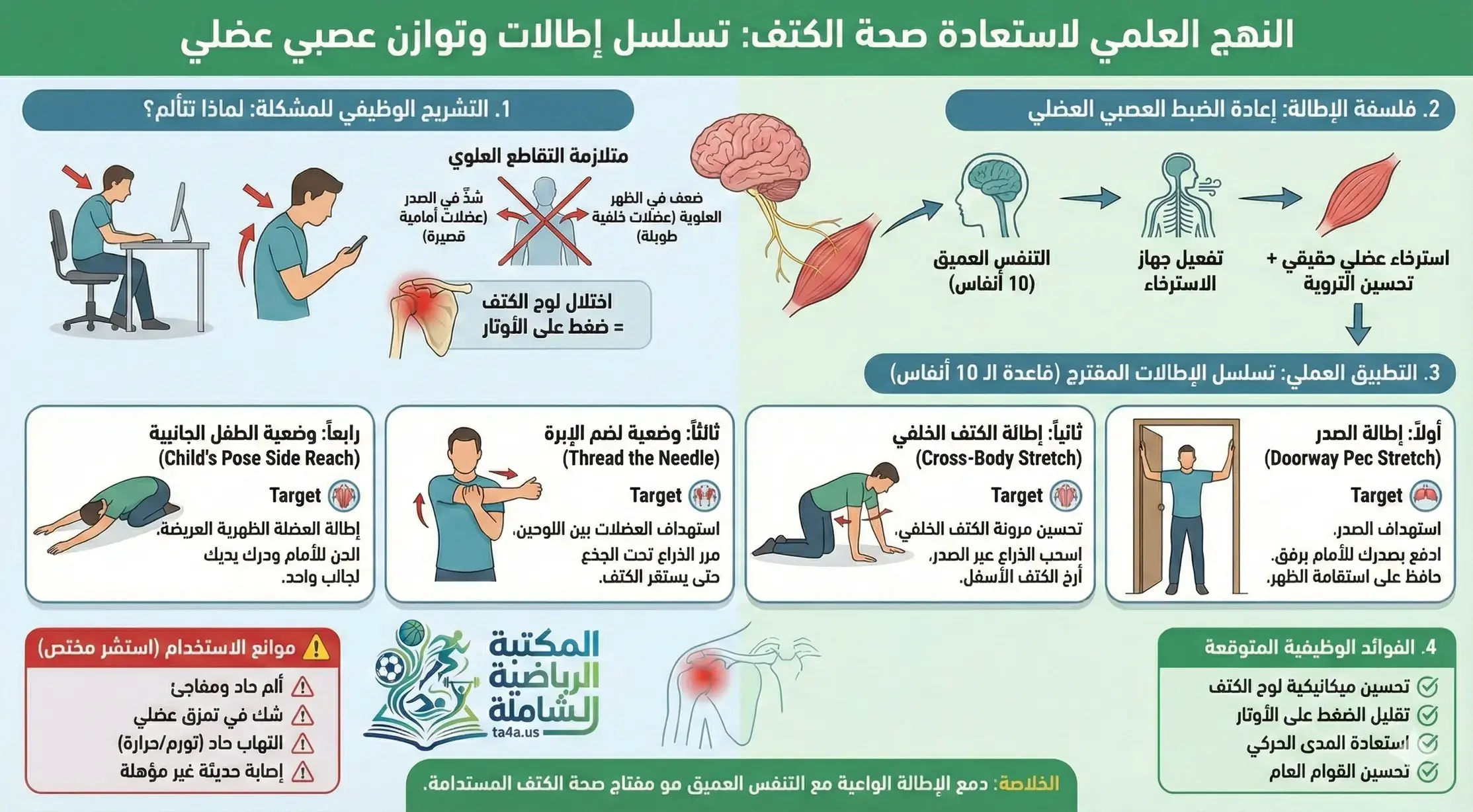 النهج العلمي لاستعادة صحة الكتف: تسلسل إطالات مبني على الميكانيكا الحيوية وضبط الجهاز العصبي